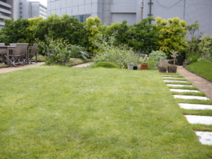 Thumbnail of post image 120