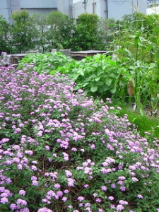 Thumbnail of post image 152