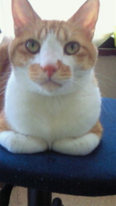 Thumbnail of post image 180