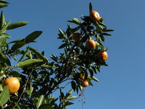 Thumbnail of post image 087