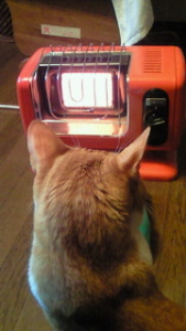 Thumbnail of post image 072