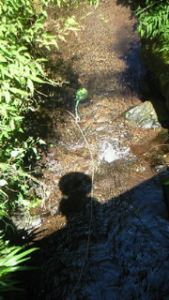 Thumbnail of post image 133