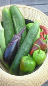 Thumbnail of post image 041