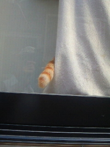 Thumbnail of post image 099