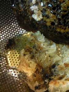 Thumbnail of post image 189