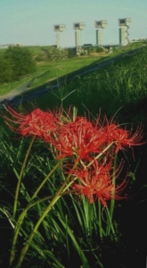 Thumbnail of post image 072