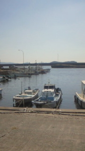 Thumbnail of post image 087