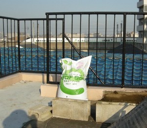 Thumbnail of post image 175